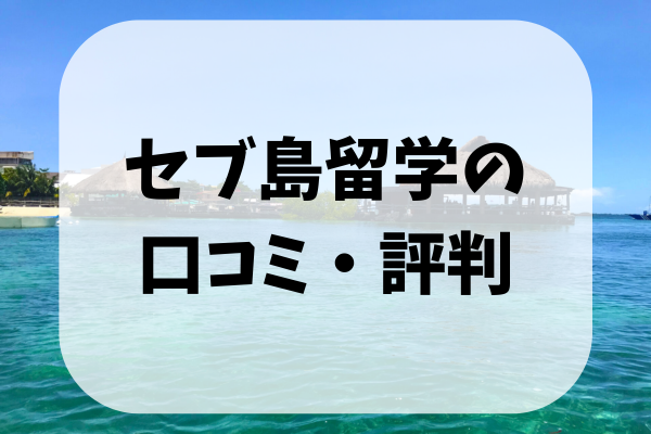 _画像