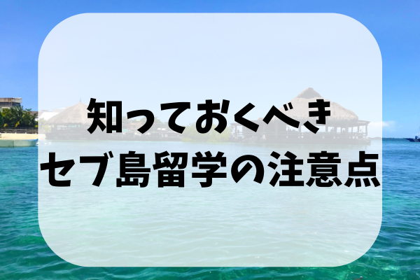 _画像